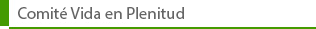 Comit� Vida en Plenitud