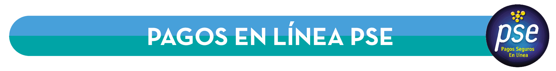 PAGOS EN L�NEA PSE